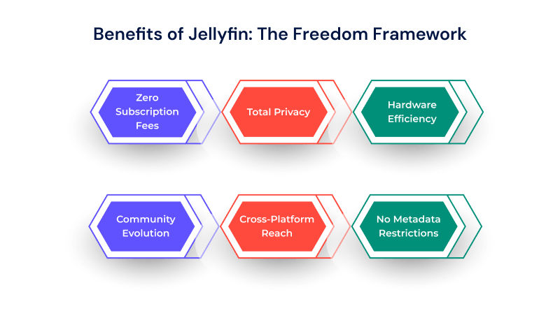 benefits-of-jellyfin