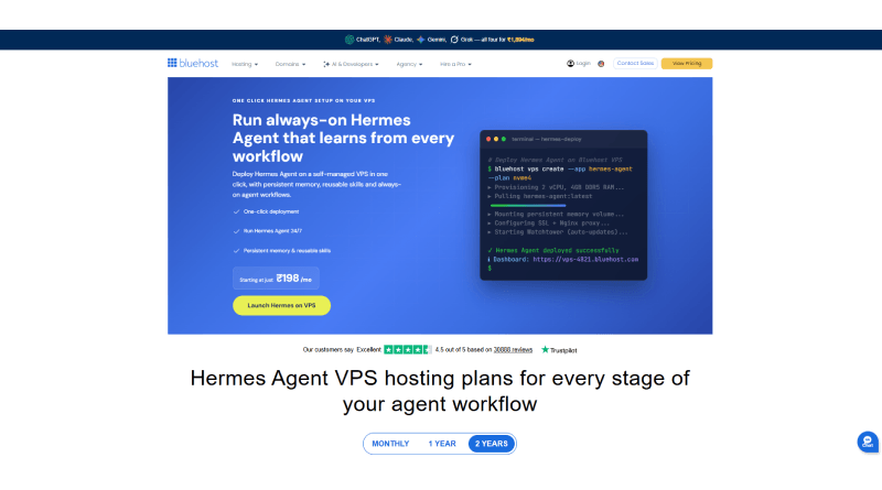 bluehost