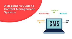 A Beginner’s Guide to Content Management Systems | MilesWeb UAE